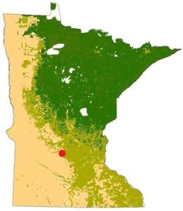 diagram of the Minnesota with a red dot marking the location of Darwin, showing prairie on the west and south and forests to the north