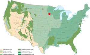 diagram of the continental United States with red dot marking central Minnesota