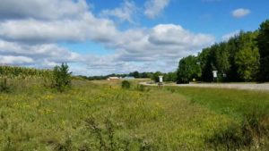 still image of a farm country scene, with a red bard in the distance, a corn field to the left, and wildflowers close to the camera. A road travels through the scene.