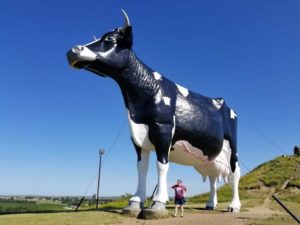 photo of a very large cow statue with Violet standing next to it, only as tall as its knee