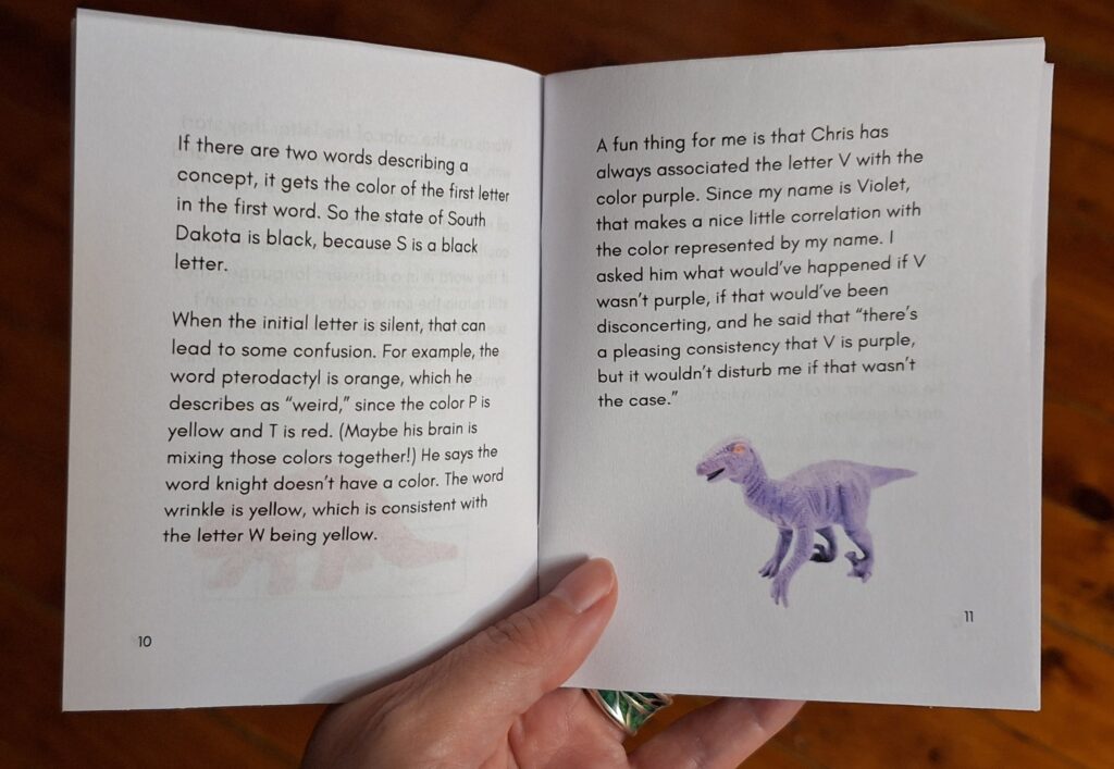 Two pages of text from pages 10 and 11 of the zine. The text reads: If there are two words describing a concept, it gets the color of the first letter in the first word. So the state of South Dakota is black, because S is a black letter.When the initial letter is silent, that can lead to some confusion. For example, the word pterodactyl is orange, which he describes as “weird,” since the color P is yellow and T is red. (Maybe his brain is mixing those colors together!) He says the word knight doesn’t have a color. The word wrinkle is yellow, which is consistent with the letter W being yellow. A fun thing for me is that Chris has always associated the letter V with the color purple. Since my name is Violet, that makes a nice little correlation with the color represented by my name. I asked him what would’ve happened if V wasn’t purple, if that would’ve been disconcerting, and he said that “there’s a pleasing consistency that V is purple, but it wouldn’t disturb me if that wasn’t the case.”".